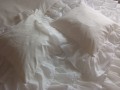 IMG_20220729_112421.jpg